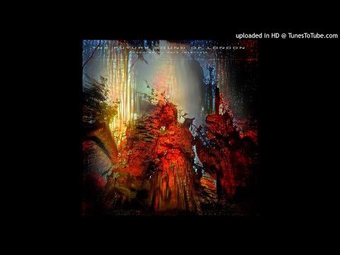 The Future Sound Of London - Obscured By Dark Intervals