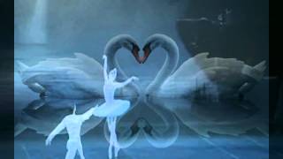 .♥ Ƹ̵̡Ӝ̵̨̄Ʒ ♥  Swan lake-- David Garrett violin .♥ Ƹ̵̡Ӝ̵̨̄Ʒ ♥