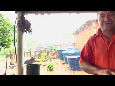 Muita Chuva Em Ipueiras Araripe Ceará 