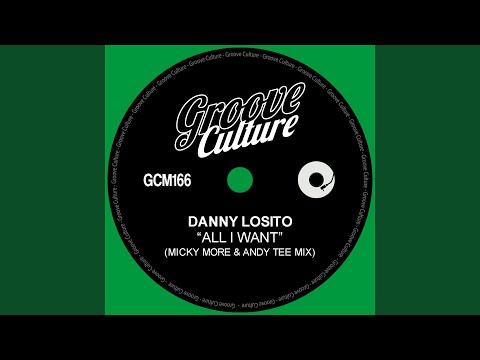 All I Want (Micky More & Andy Tee Edit)