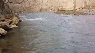 preview picture of video 'Trout fishing on Jacob's Creek'