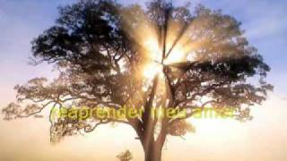 Relearn Love by Marco