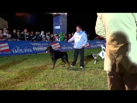 IDC 2012 - Champion class Black Males - finals