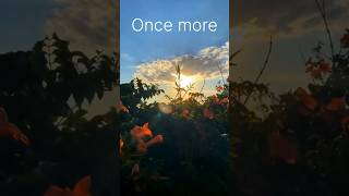 EVERY NIGHT IN MY DREAMS🫂 I SEE YOU I FEEL YOU💕 #1million #shorts #1