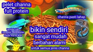 Download lagu CARA MUDAH MEMBUAT PELET UNTUK IKAN CHANNA FULL PROTEIN mp3