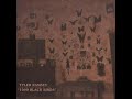 Tyler Ramsey - 1000 Black Birds (Visualizer)