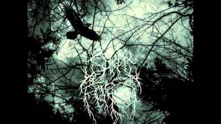 Spirit of the Forest - Animosity