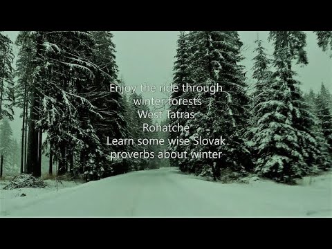 Ride through the winter forest. The Western Tatras. Wise winter proverbs.