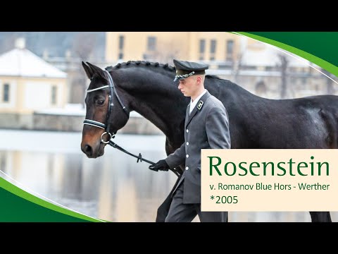 ROSENSTEIN v. Romanov Blue Hors - Werther
