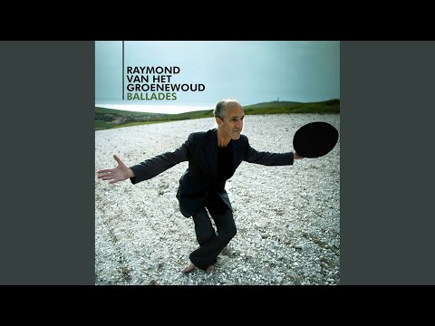 Waarom Jij Er Niet Bent - Raymond van het Groenewoud