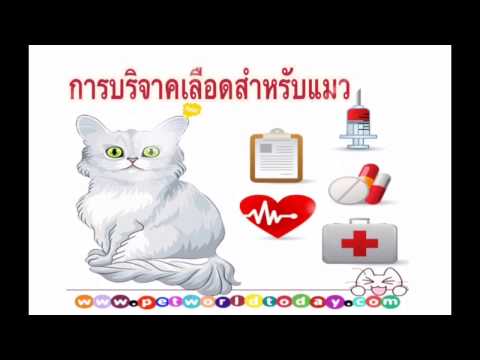 ซึ่ง kolyat ภาพกลาก โรคสะเก็ดเงินโซดาหัวรักษา