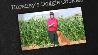 preview picture of video 'HERSHEY'S FARM MARKET... UNBELIEVABLE DOGGIE COOKIES'