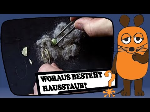 Woraus besteht Hausstaub?
