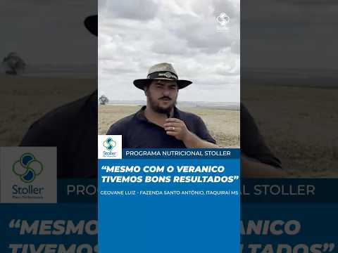Estratégias que impulsionaram a Fazenda Santo Antonio no MS