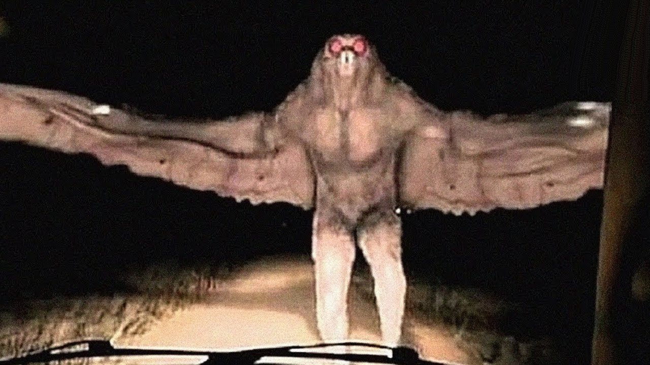 Câmera de trilha captura o que ninguém deveria ver