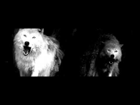 Phat Rascal x Mon - Midfingah (over. Inna Attic Crookz)