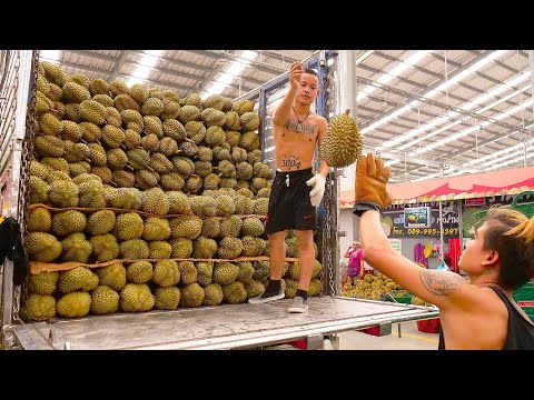 The Largest Durian Wholesale Market! Durian Cutting Skills - Thai Street Food