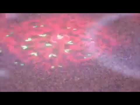 Bill x 210 | Happy 31💫