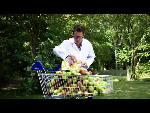 The Journey of a South African Apple