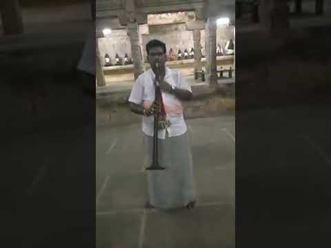 Charukeshi raga - Nadaswaram