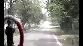 Amor En Tiempos De Guerra - Regulo Caro