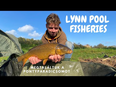 Nehéz nap volt Prof számára :(   / De Megtaláltuk a pontyparadicsomot !!! /