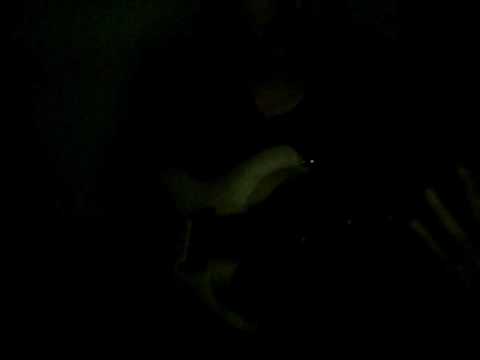 Dogma - Death Experience