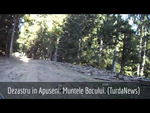 Dezastru in Apuseni. Muntele Bocului.