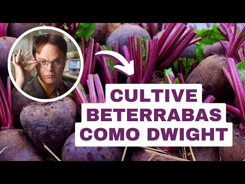 Increasing Growth and Biodiversity - Mitch's Pond Tour