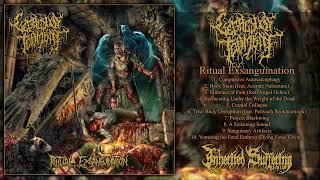 Download lagu LEGACY OF TORMENT - RITUAL EXSANGUINATION [FULL-LENGTH] (SLAMMING BRUTAL DEATH METAL - 2025) mp3