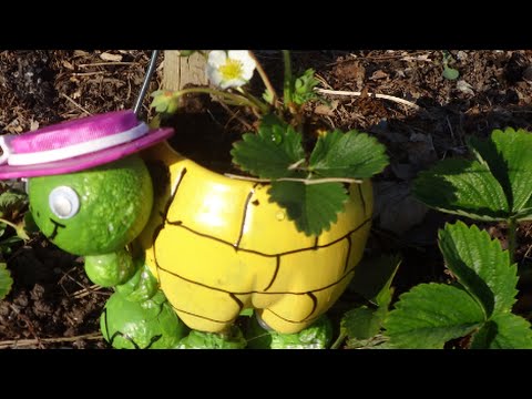 МК: Как Сделать Черепаху из Пластиковой Бутылки для Вашего Сада