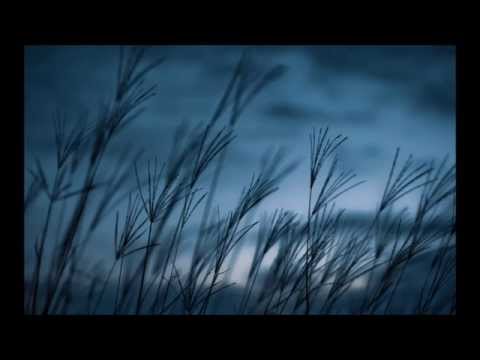 Feztimajk - Dhimbje 2015