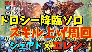 【パズドラ】ドロシー降臨！１枚抜きスキル上げ周回シェアト×エレンのパーティ紹介！