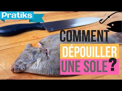 comment nettoyer peau d'agneau