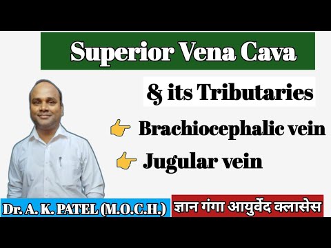 Superior vena cava nd its tributaries, svc, easily draw, Mbbs, Bams, Ncism, Gyan ganga ayurveda