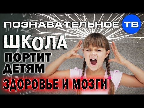 Смотреть видео на alushta24.org