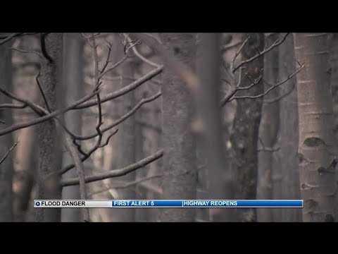 Flash flooding danger increases near Spring Fire burn scar