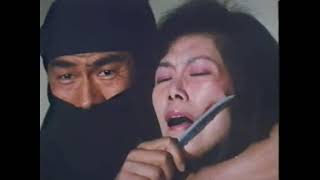 Ninja Thunderbolt 1984 Spa