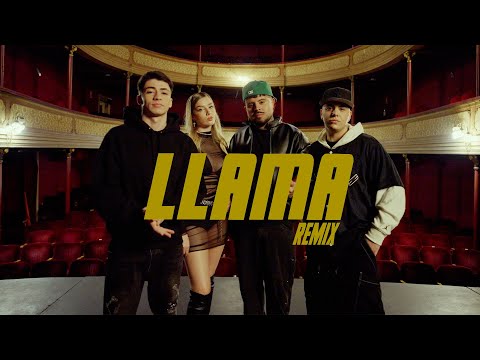 Miniatura de Llama (Remix)