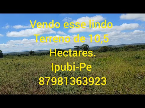 5 kms da pista e 10 pra cidade. Serrolandia-Ipubi-Pe. Valor 110 mil. 