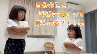 【姉妹喧嘩勃発！】5歳と2歳の本気の言い合い！