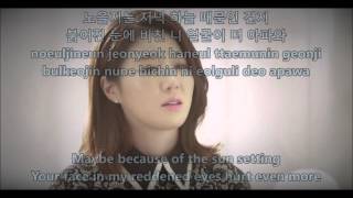 Navi - At The Han - Hangul, Romaja and English Lyrics