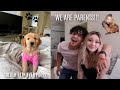 GETTING OUR GOLDEN RETRIEVER PUPPY
