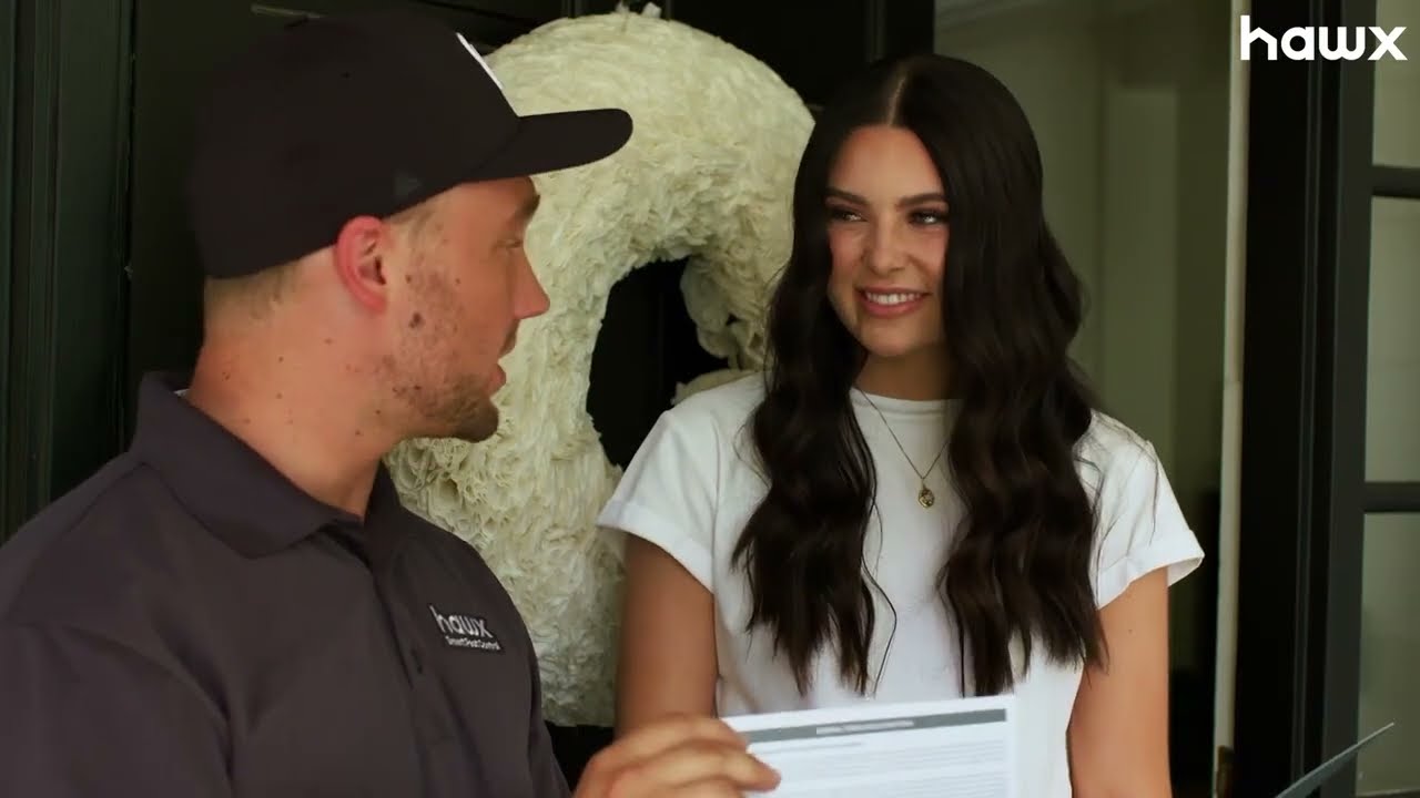 Hawx Pest Control Dallas TX Dallas Pest Control