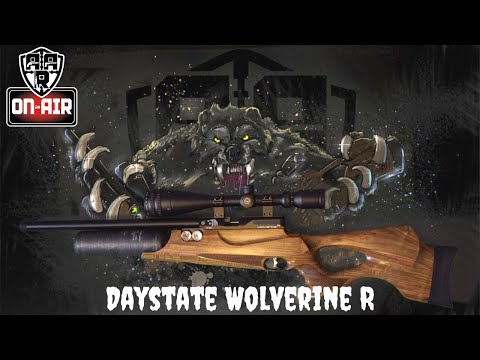 Daystate Wolverine R Review