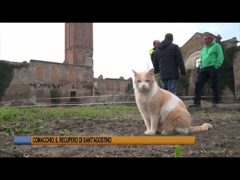 Ferrara Telegiornale del 19 febbraio 2020 Edizione delle 19,30