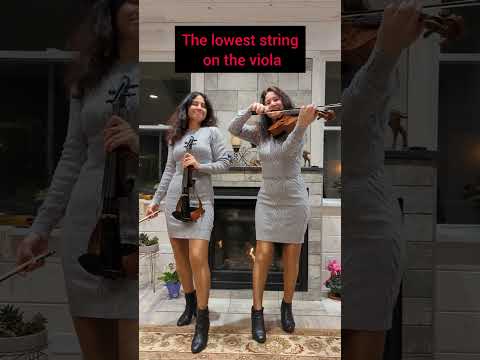 Electric violin vs acoustic viola #shorts