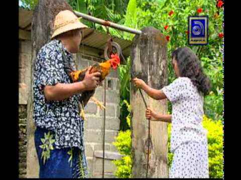 Ketut Bimbo - Ngabut Keladi, Ayam Jago dari Bali (Rooster)