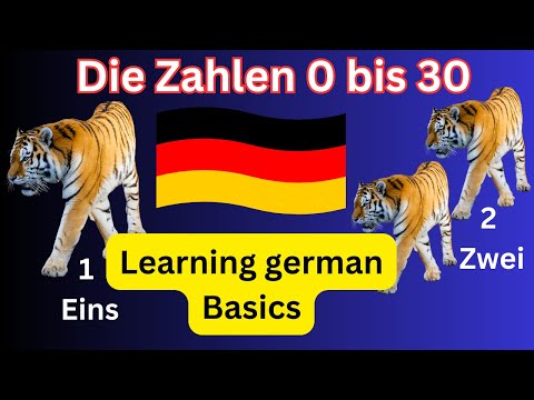 Die Zahlen 0 bis 30: Deutsch lernen / Learning german for beginners: Counting | Numbers 0 to 30