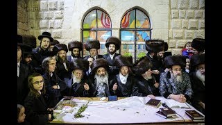 אדמו"רים במירון לרגל שבת שבע ברכות - שומרי אמונים,זידיטשוב ארה"ב,זאבליטוב,חוסט.